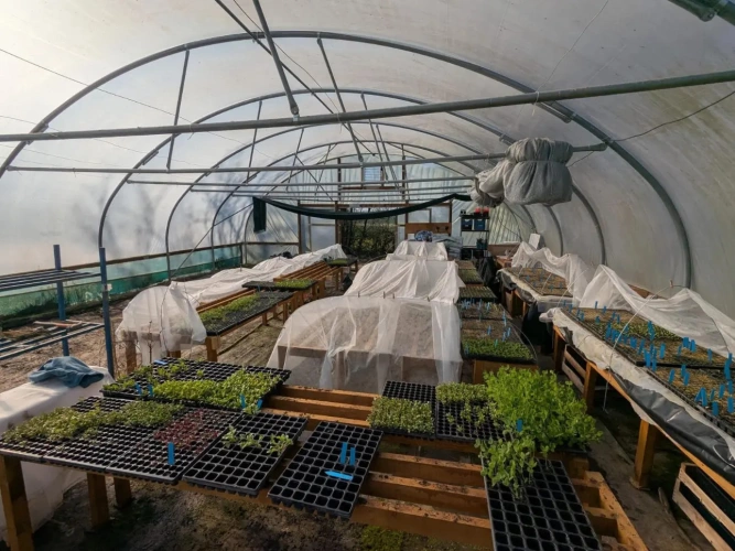 Photos 6 - Agricole - Micro ferme maraichère