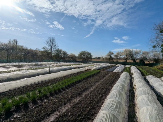 Photos 11 - Agricole - Micro ferme maraichère