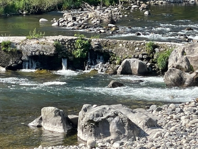 Photos 5 - Touristique - Propriété de caractère avec activité touristique et potentiel événementiel en Ardèche
