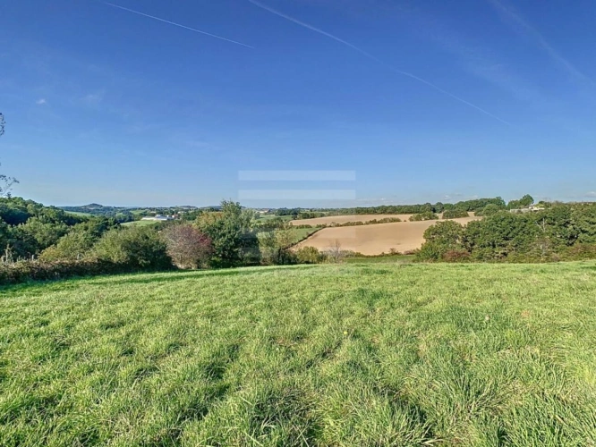 Photos 2 - Agricole - Ovins / Caprins