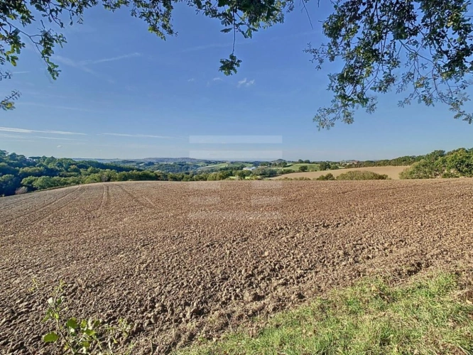 Photos 3 - Agricole - Ovins / Caprins