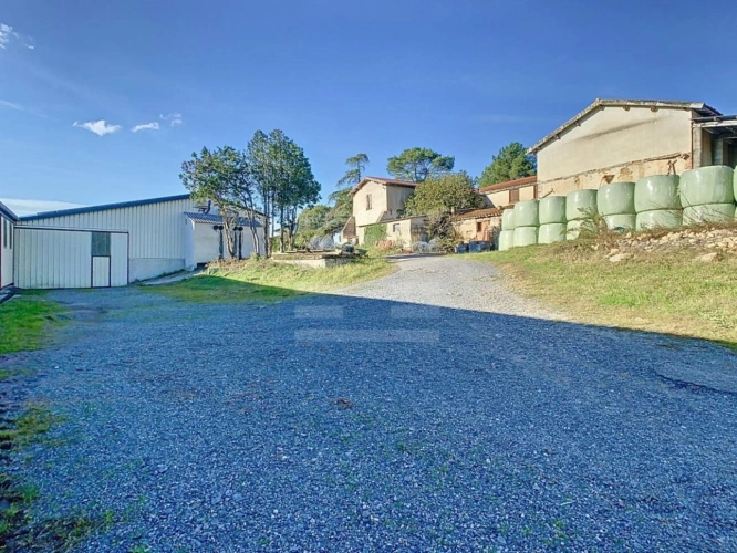Photos 14 - Agricole - Ovins / Caprins