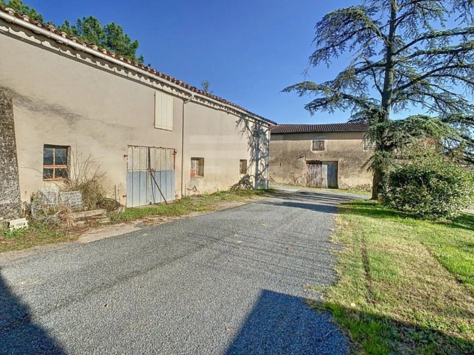 Photos 15 - Agricole - Ovins / Caprins