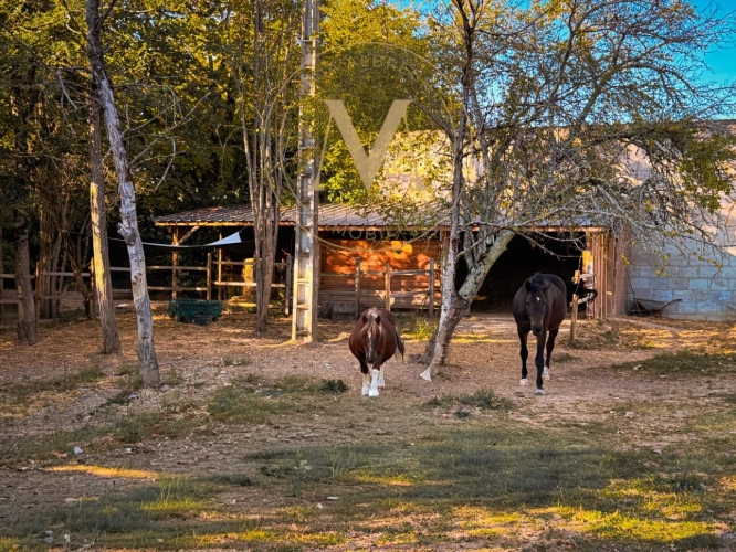 Photos 21 - Rurale - Propriete à vendre 10 pièces TOURNON D'AGENAIS (47)