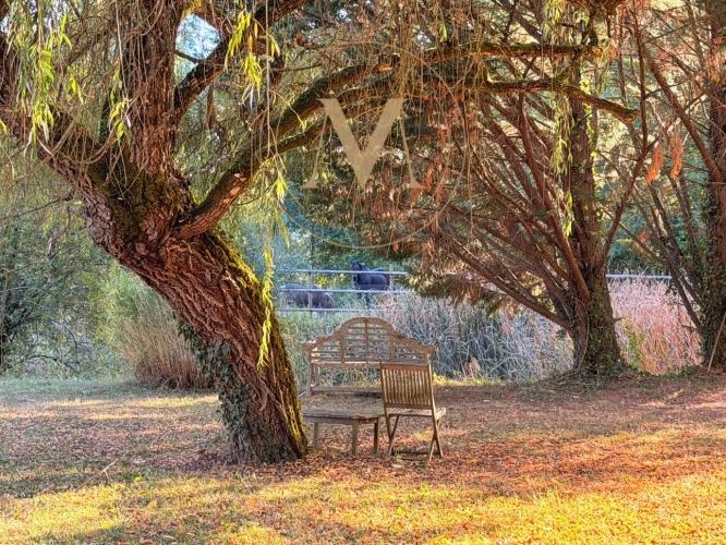 Photos 22 - Rurale - Propriete à vendre 10 pièces TOURNON D'AGENAIS (47)
