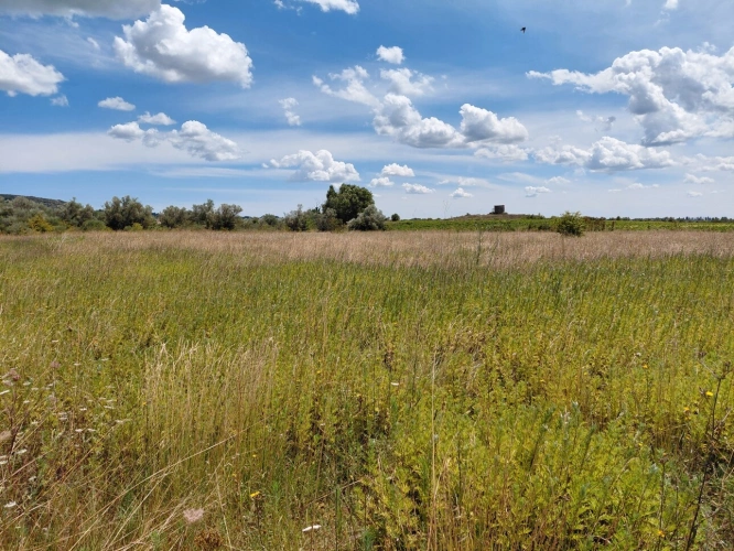 Photos 1 - Agricole - Terrain de 6 640m2 avec chênes truffiers