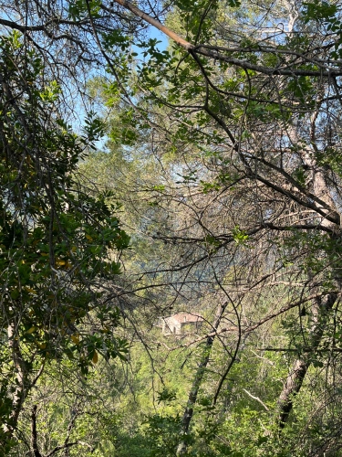 Photos 2 - Rurale - Exceptionnelle Propriété Hors Réseau dans l’Arrière-Pays de la Côte d’Azur