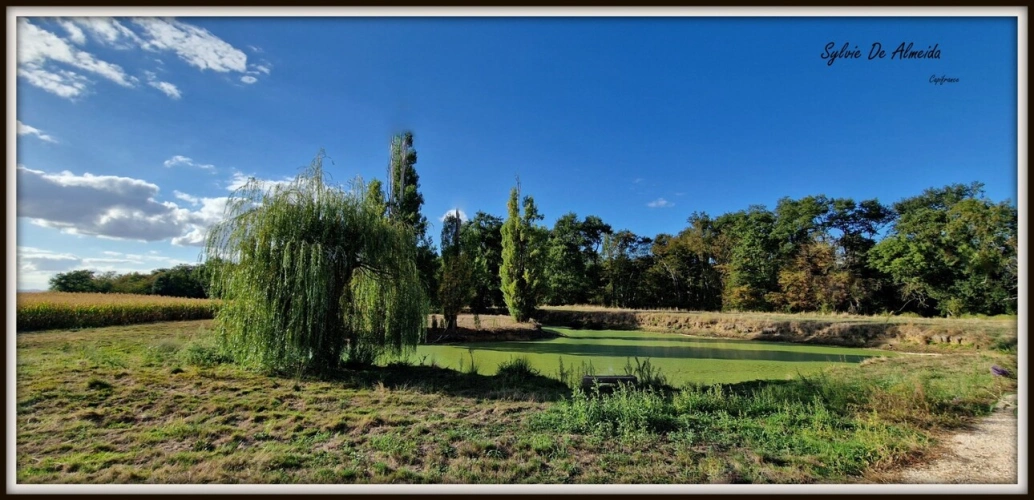 Photos 10 - Rurale - Propriete longère à vendre 313 m² 7 pièces SAINT CYR SUR MENTHON (01)Dépendances 550 m², piscine, 6,84 hectares