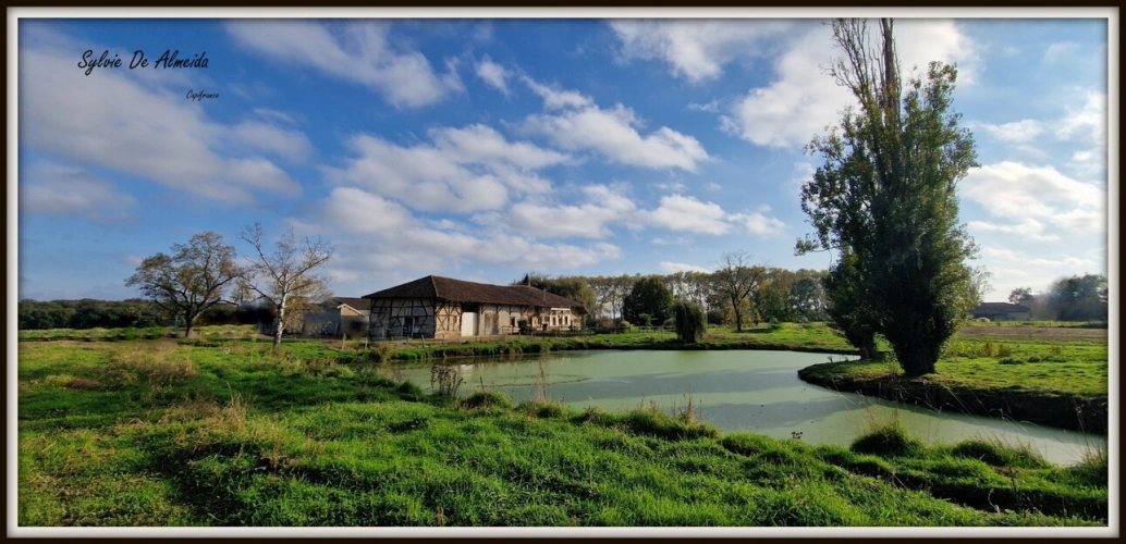 Photos 19 - Rurale - Propriete longère à vendre 313 m² 7 pièces SAINT CYR SUR MENTHON (01)Dépendances 550 m², piscine, 6,84 hectares