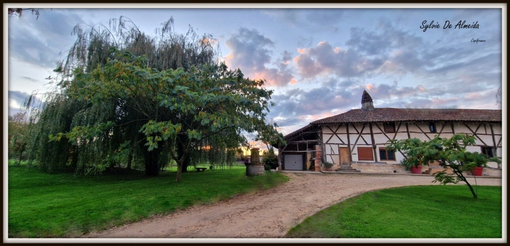Photos 20 - Rurale - Propriete longère à vendre 313 m² 7 pièces SAINT CYR SUR MENTHON (01)Dépendances 550 m², piscine, 6,84 hectares