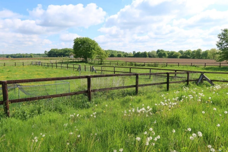 Photos 2 - Équestre - Propriété équestre sans nuisances 6 Hectares