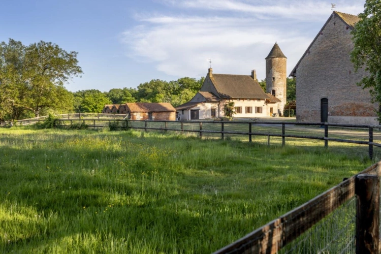 Photos 3 - Équestre - Propriété équestre sans nuisances 6 Hectares