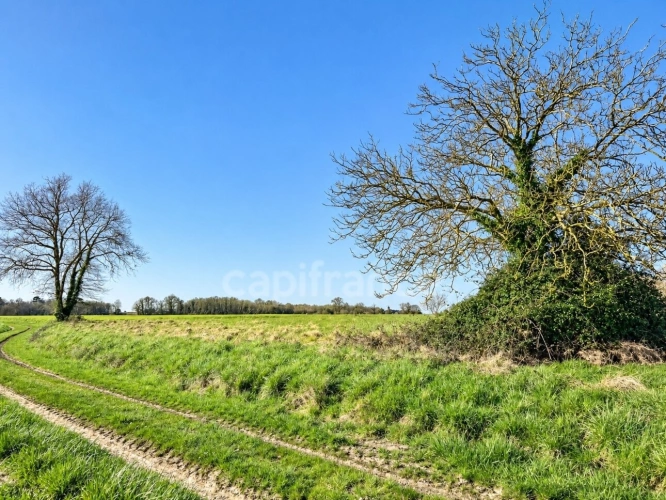Photos 1 - Agricole - Terrain agricole de 1 720 m² - Cadre rural préservé - Vanzac (17)