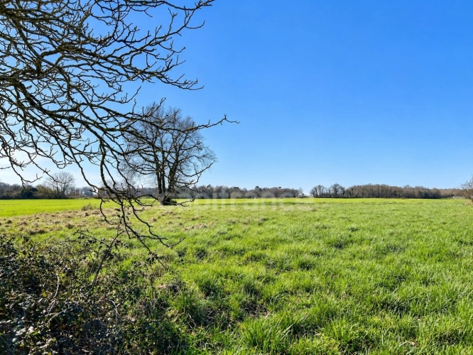 Photos 2 - Agricole - Terrain agricole de 1 720 m² - Cadre rural préservé - Vanzac (17)