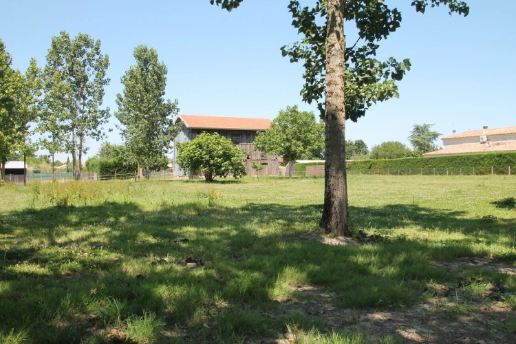 Photos 4 - Rurale - Ancien séchoir à tabac – 83 m² – Terrain de 5 428 m² – Potentiel de réhabilitation en habitation proche de CASTELJALOUX (47)