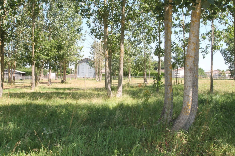 Photos 5 - Rurale - Ancien séchoir à tabac – 83 m² – Terrain de 5 428 m² – Potentiel de réhabilitation en habitation proche de CASTELJALOUX (47)