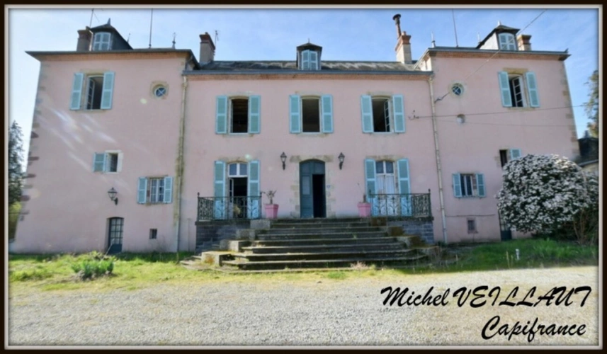 Photos 2 - Prestige - Propriété à vendre avec bâtisse de 15 pièces, 2 gîtes, terrain 7390 m², VILLENEUVE SUR ALLIER (03)