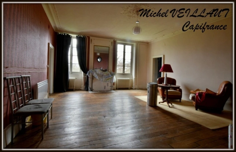 Photos 8 - Prestige - Propriété à vendre avec bâtisse de 15 pièces, 2 gîtes, terrain 7390 m², VILLENEUVE SUR ALLIER (03)