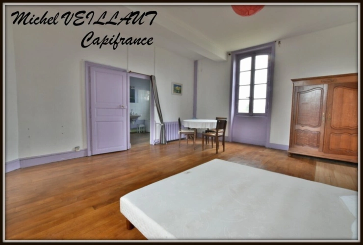 Photos 17 - Prestige - Propriété à vendre avec bâtisse de 15 pièces, 2 gîtes, terrain 7390 m², VILLENEUVE SUR ALLIER (03)
