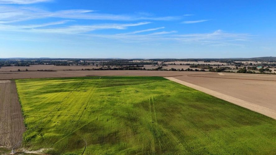 Photos 1 - Agricole - 196 hectares d'un seul tenant avec potentiel sablier