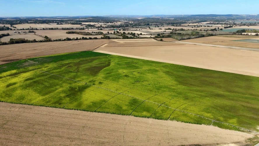 Photos 2 - Agricole - 196 hectares d'un seul tenant avec potentiel sablier