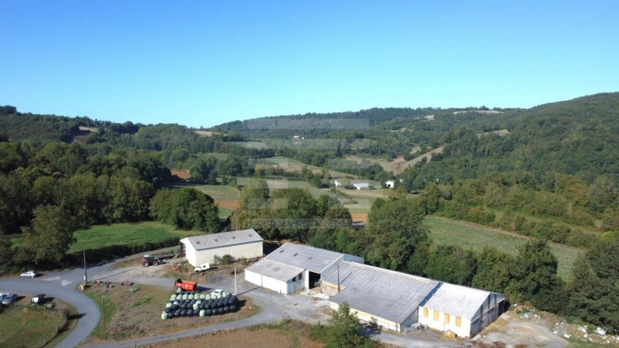 Photos 1 - Agricole - Ovins / Caprins
