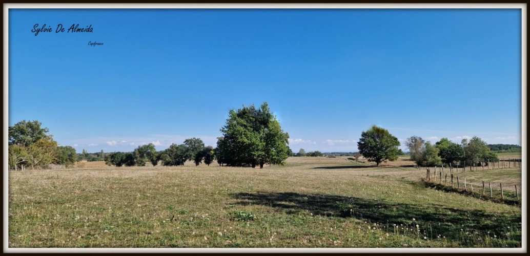 Photos 13 - Rurale - Propriete LONGERE 165 m² à vendre 6 pièces BAGE DOMMARTIN (01) Terrain 4000 m², Dépendances, Potentiel, Cachet