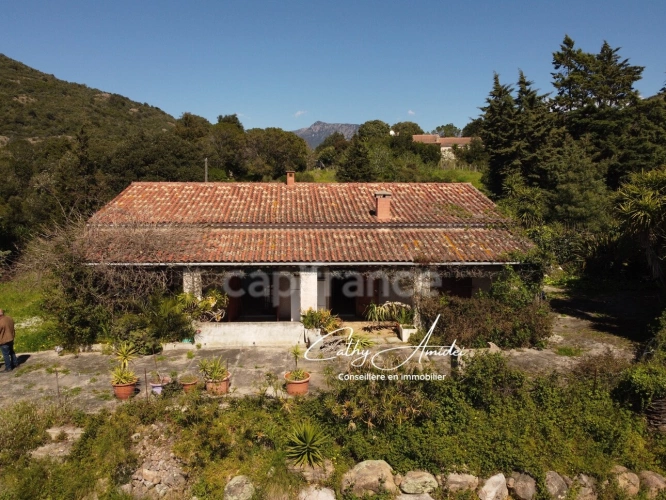 Photos 2 - Touristique - SAGONE (Corse) : Propriete à vendre, maison T4 + dépendance avec 2 appartements T1, sur terrain plat de 5000m2