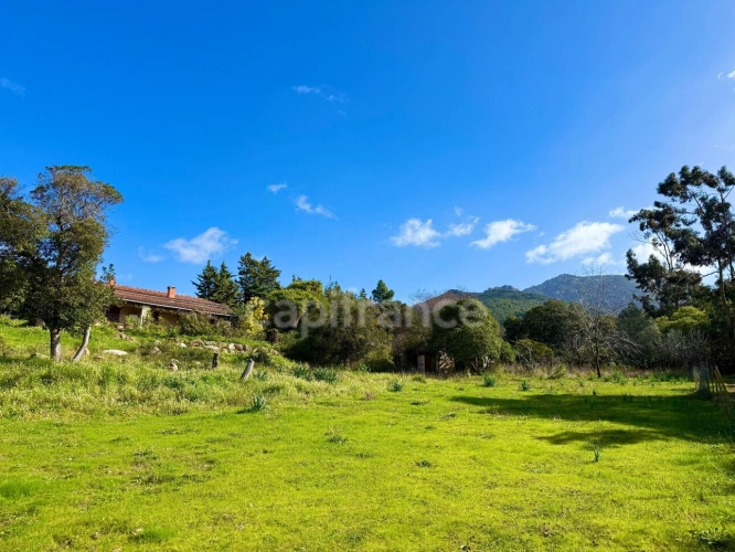 Photos 4 - Touristique - SAGONE (Corse) : Propriete à vendre, maison T4 + dépendance avec 2 appartements T1, sur terrain plat de 5000m2
