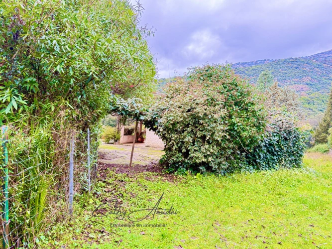 Photos 6 - Touristique - SAGONE (Corse) : Propriete à vendre, maison T4 + dépendance avec 2 appartements T1, sur terrain plat de 5000m2