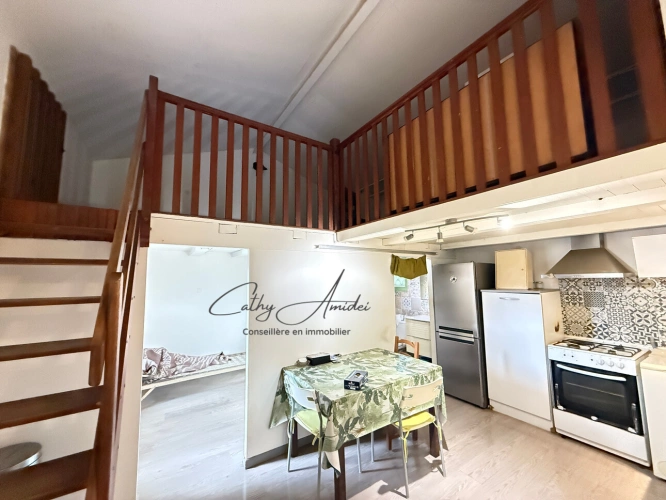 Photos 11 - Touristique - SAGONE (Corse) : Propriete à vendre, maison T4 + dépendance avec 2 appartements T1, sur terrain plat de 5000m2