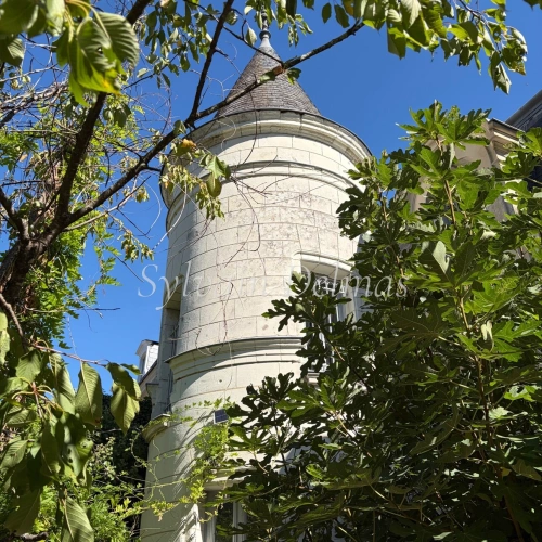 Photos 4 - Prestige - Propriete à vendre 10 pièces SAINT AVERTIN (37)