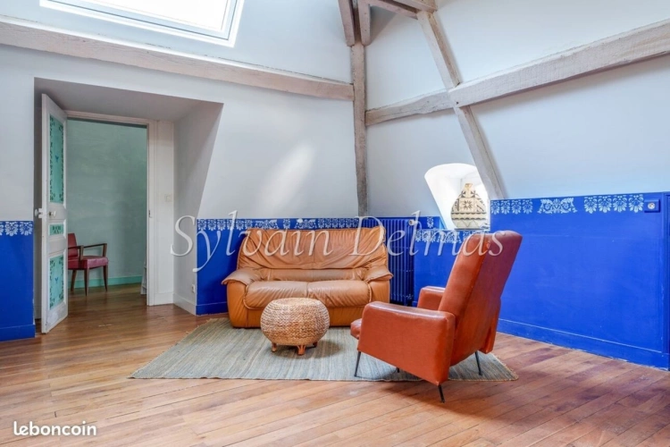 Photos 33 - Prestige - Propriete à vendre 10 pièces SAINT AVERTIN (37)