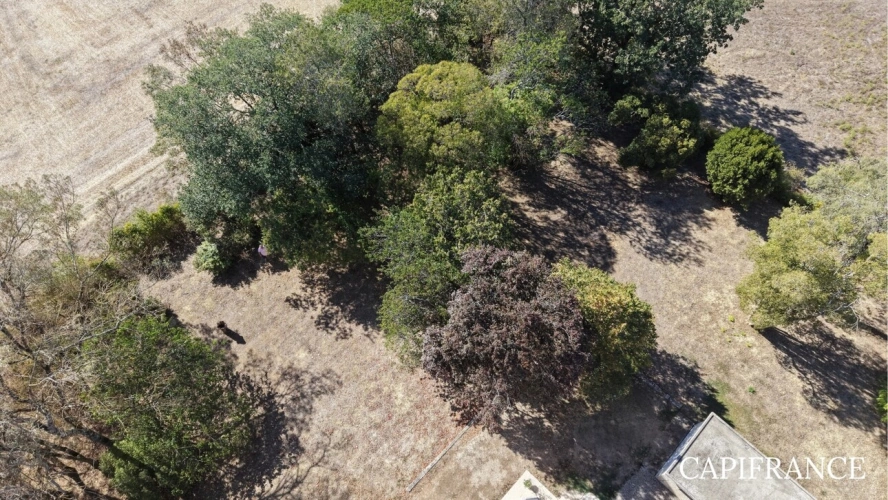 Photos 38 - Prestige - Maison de maître sur un terrain de plus de 3 000 m²