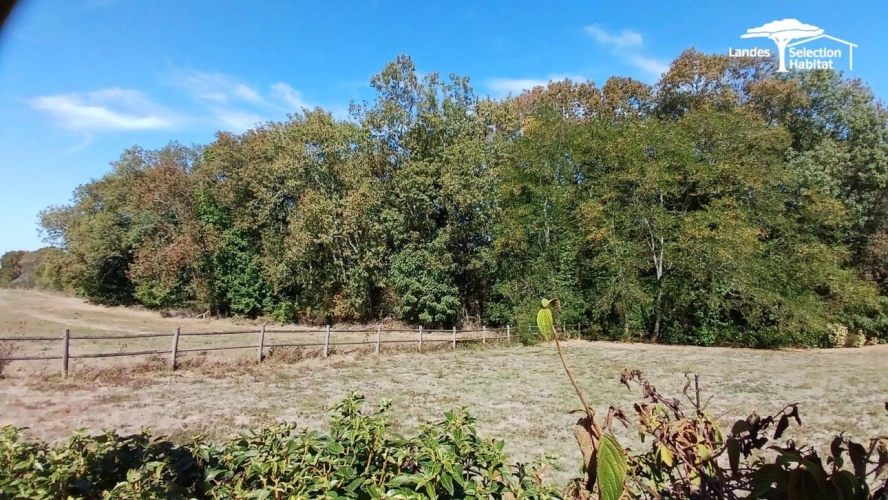 Photos 22 - Rurale - Propriété rurale de charme & dépendances sur 5 000 m² (+1,2 ha possibles)