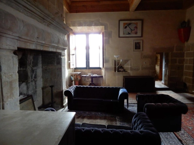 Photos 8 - Prestige - Château du XVIe siècle partiellement rénové