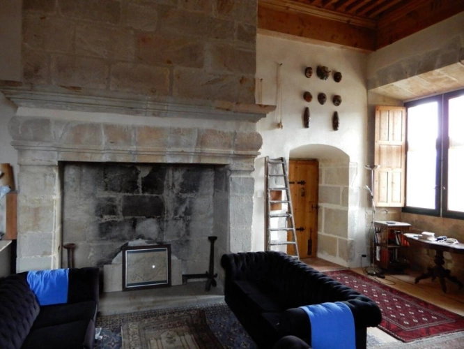 Photos 12 - Prestige - Château du XVIe siècle partiellement rénové