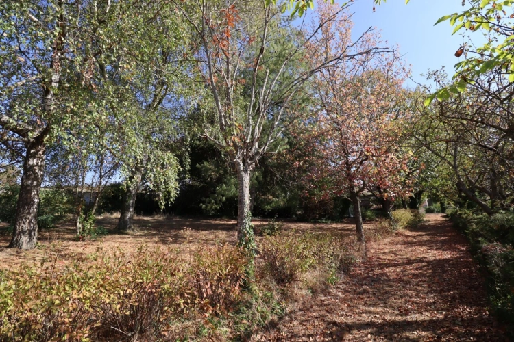 Photos 5 - Prestige - ENSEMBLE IMMOBILIER RARE AVEC MAISON, GÎTE ET 3 700 M² DE TERRAIN