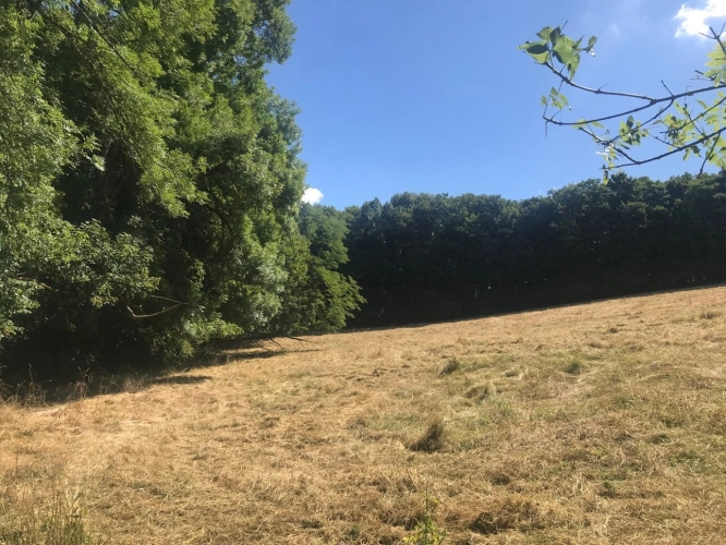 Photos 12 - Équestre - Corps de ferme mitoyen à vendre au cœur des Amognes