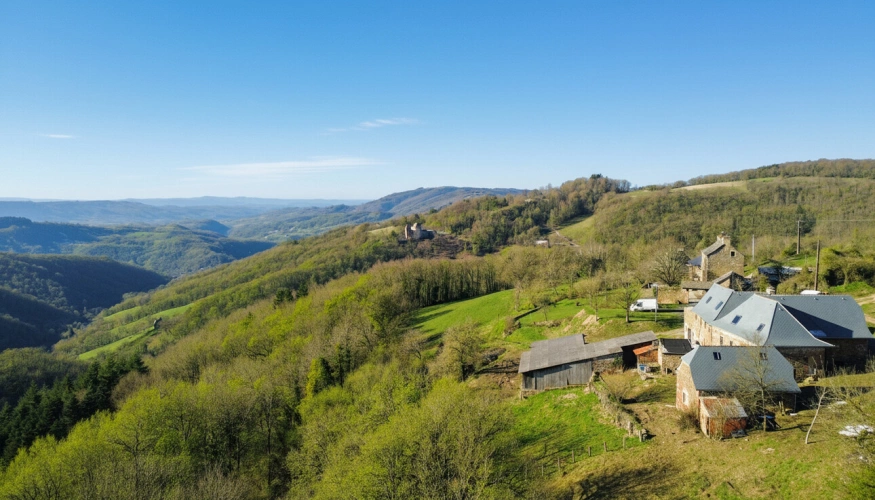 Photos 4 - Rurale - Ensemble en pierre du XIX? & son domaine de 3 700 m² (dont 2 700 m² Bio)  VILLECOMTAL