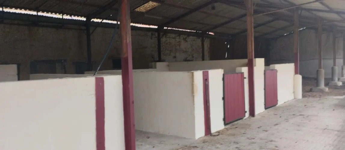Photos 3 - Équestre - Propriété équestre de caractère sur 17 ha