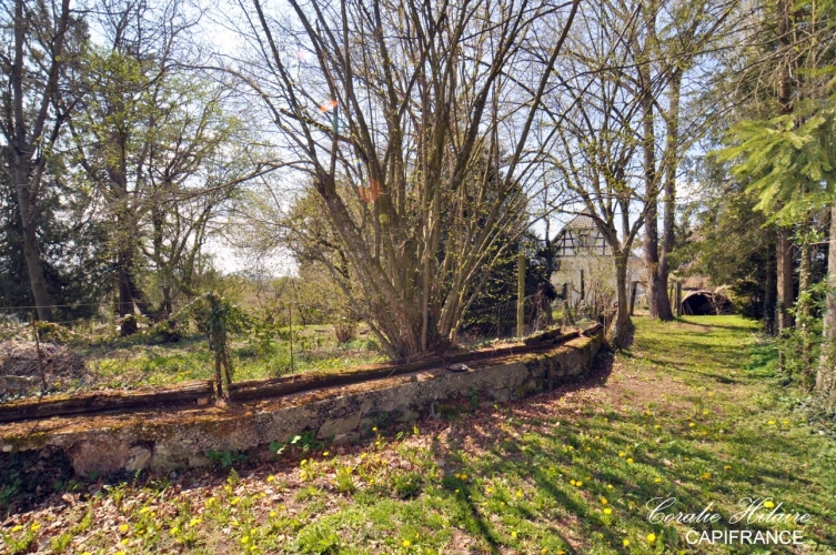 Photos 17 - Prestige - Dpt Haut-Rhin (68), à vendre MUESPACH Belle propriété en pierre, avec ses dépendances