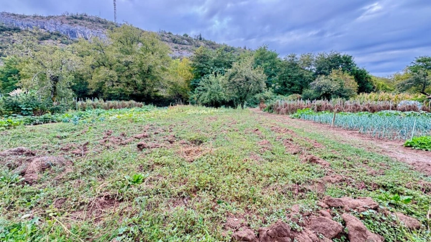 Photos 1 - Agricole - Terrain potager Cajarc 539 m2
