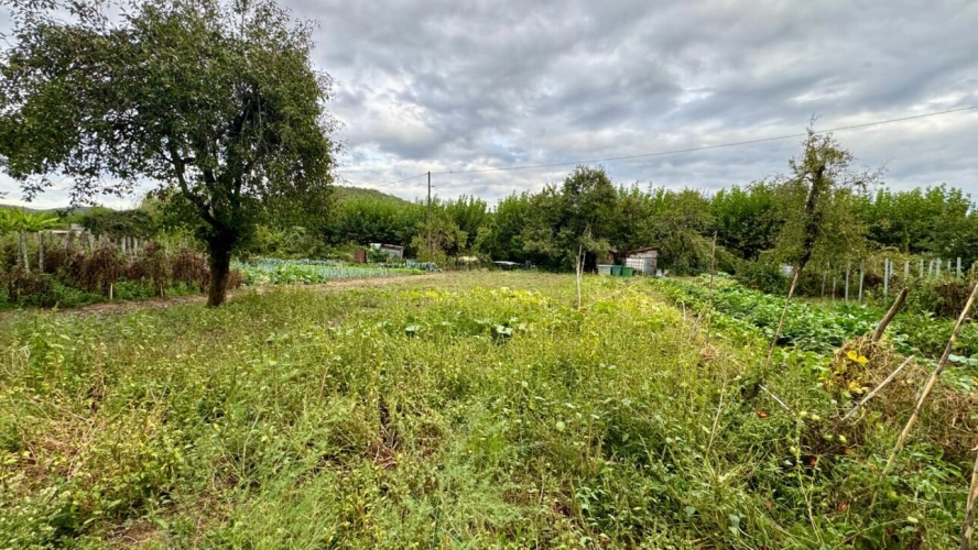 Photos 4 - Agricole - Terrain potager Cajarc 539 m2