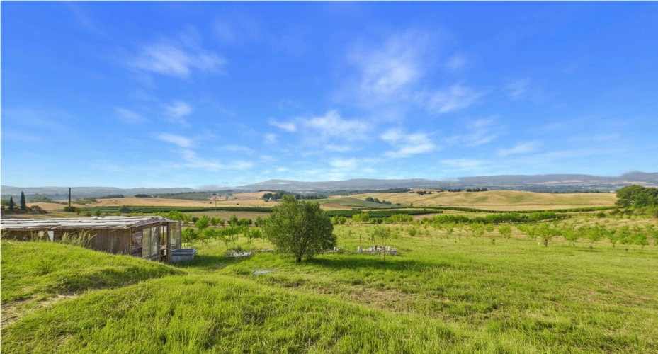 Photos 21 - Prestige - Domaine de 86 hectares avec vue panoramique sur les Pyrénées