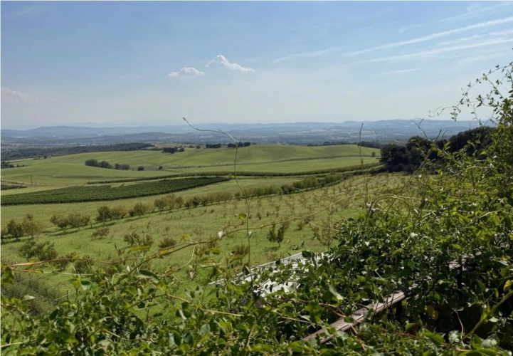 Photos 23 - Prestige - Domaine de 86 hectares avec vue panoramique sur les Pyrénées