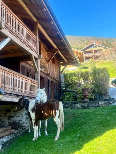 Photos 5 - Prestige - PROPRIÉTÉ D'EXCEPTION -- UNE FERME DU XIX? SIÈCLE ENTRE