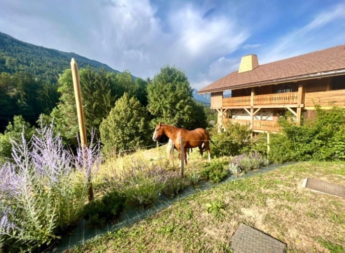 Photos 6 - Prestige - PROPRIÉTÉ D'EXCEPTION -- UNE FERME DU XIX? SIÈCLE ENTRE