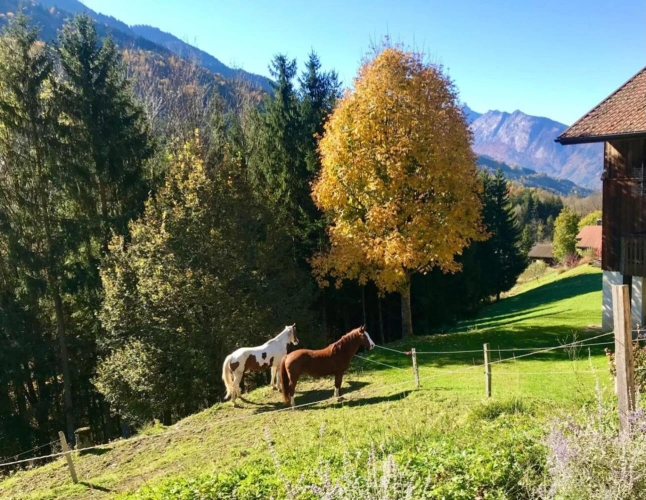 Photos 7 - Prestige - PROPRIÉTÉ D'EXCEPTION -- UNE FERME DU XIX? SIÈCLE ENTRE