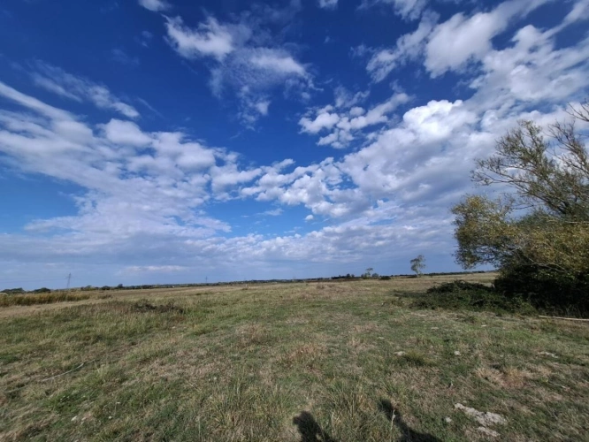 Photos 1 - Équestre - Domaine de 4,7 hectares à Notre-Dame-de-Monts
